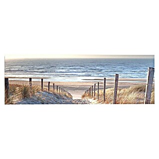 Reinders Decopanel (Dune Path I, B x H: 156 x 52 cm)