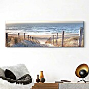 Reinders Decopanel (Dune Path I, B x H: 156 x 52 cm) | BAUHAUS