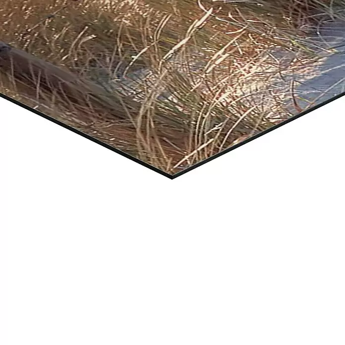 Reinders Decopanel - Dune Path I, B x H: 156 x 52 cm - Detailaufnahme