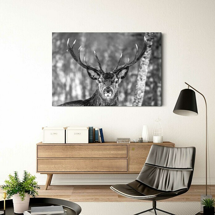 Foto op glas (Winter Deer, b x h: 116 x 78 cm) | BAUHAUS