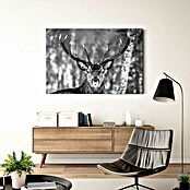 Foto op glas (Winter Deer, b x h: 116 x 78 cm) | BAUHAUS