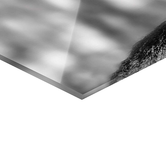 Foto op glas (Winter Deer, b x h: 116 x 78 cm) | BAUHAUS