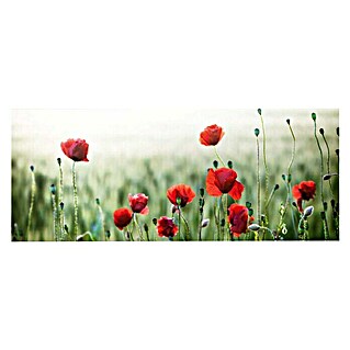 Foto op glas (Wild Poppies, b x h: 125 x 50 cm)
