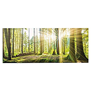 Foto op glas (Summer Forest, b x h: 125 x 50 cm)