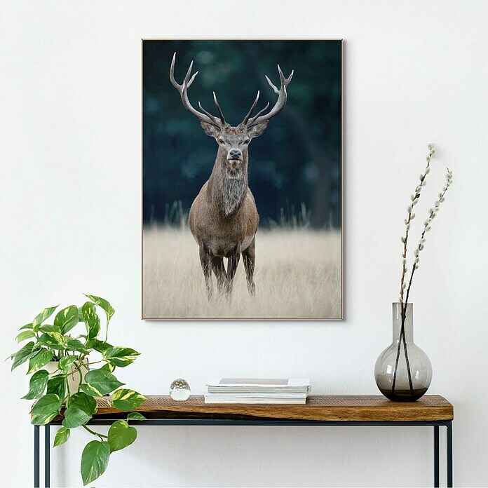 Reinders Bild Slim Frame Wood (Deer, B x H: 50 x 70 cm) | BAUHAUS