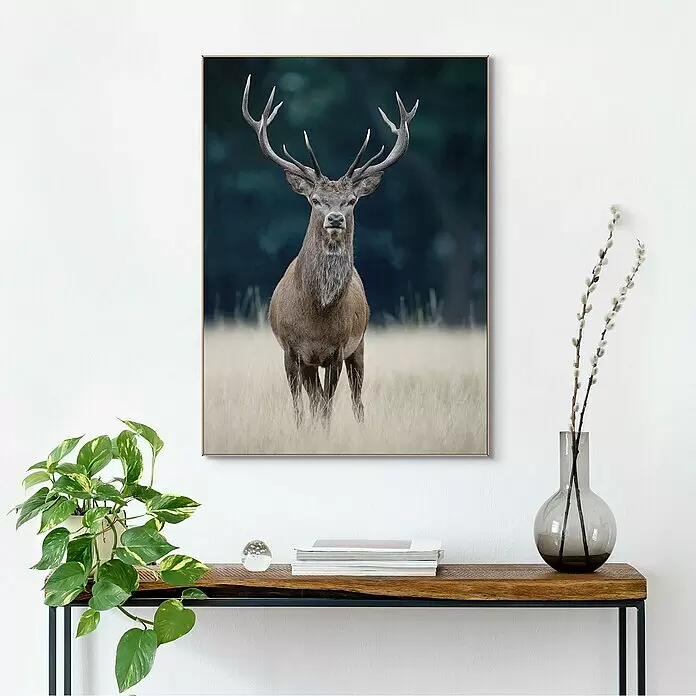 Reinders Bild Slim Frame Wood - Deer, B x H: 50 x 70 cm - Stimmungsaufnahme