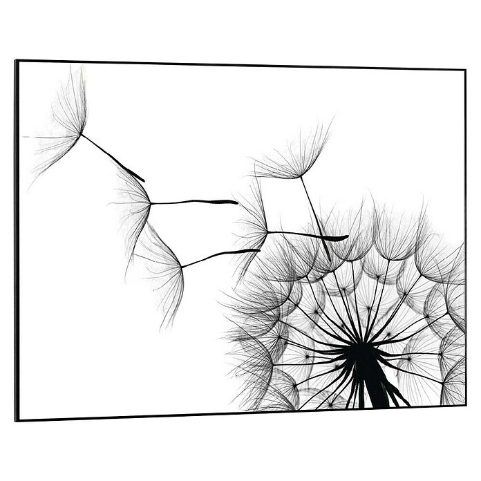 Reinders Bild Slim Frame Black (Dandelion, B x H: 70 x 50 cm) | BAUHAUS