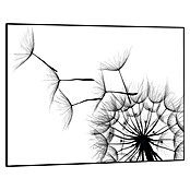 Reinders Bild Slim Frame Black (Dandelion, B x H: 70 x 50 cm) | BAUHAUS