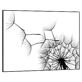 Reinders Bild Slim Frame Black (Dandelion, B x H: 70 x 50 cm)