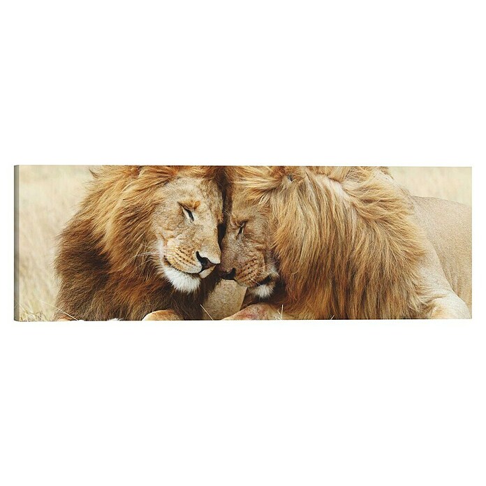 Holzbild Deco BlockPair of Lions, B x H: 118 x 40 cm Front View