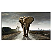 Reinders Holzbild Deco Block (Elephant King, B x H: 118 x 70 cm) | BAUHAUS