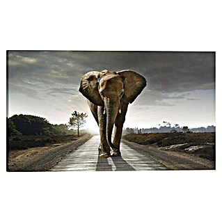 Reinders Holzbild Deco Block (Elephant King, B x H: 118 x 70 cm)