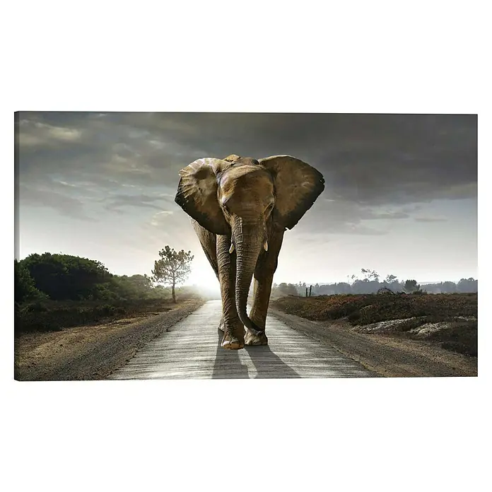 Reinders Holzbild Deco Block - Elephant King, B x H: 118 x 70 cm - Ein majestätischer Elefant auf einer Landstraße, die durch eine offene Landschaft mit bewölktem Himmel führt. Im Fokus steht die Stärke des Tieres.