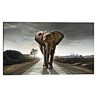 Houten tekstbord Deco Block (Elephant King, b x h: 118 x 70 cm)