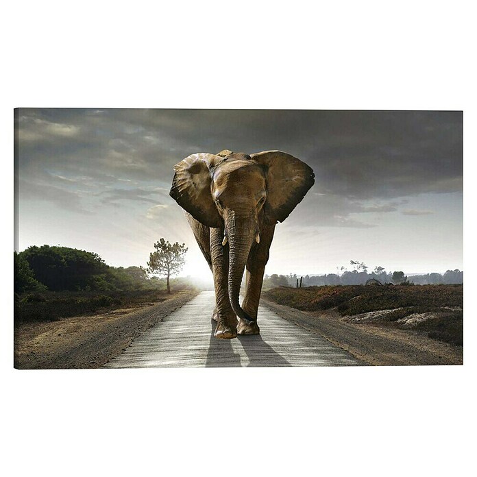 Holzbild Deco BlockElephant King, B x H: 118 x 70 cm Front View