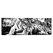 Reinders Holzbild Deco Block (Tiger is Watching You, B x H: 118 x 40 cm) | BAUHAUS