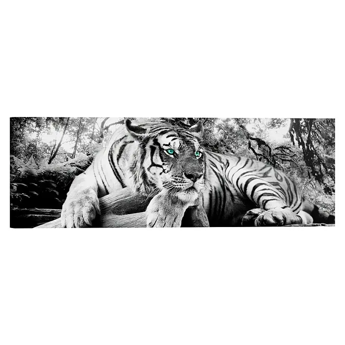 Reinders Holzbild Deco Block - Tiger is Watching You, B x H: 118 x 40 cm - Ein majestätischer Tiger mit strahlend blauen Augen ruht friedlich in einem Schwarz-Weiß-Dschungel.
