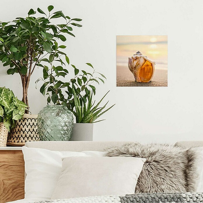Foto op glas (Sunset Shell II, b x h: 30 x 30 cm) | BAUHAUS