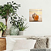 Foto op glas (Sunset Shell II, b x h: 30 x 30 cm) | BAUHAUS