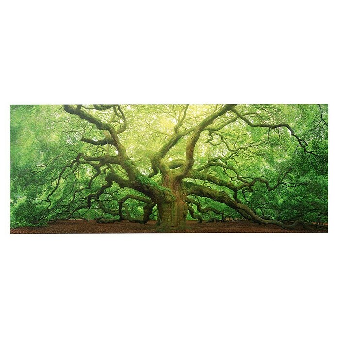 Foto op glas (Old Oak, b x h: 125 x 50 cm) | BAUHAUS