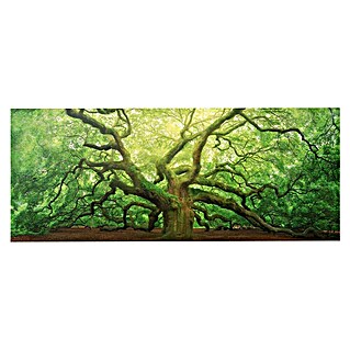 Foto op glas (Old Oak, b x h: 125 x 50 cm)