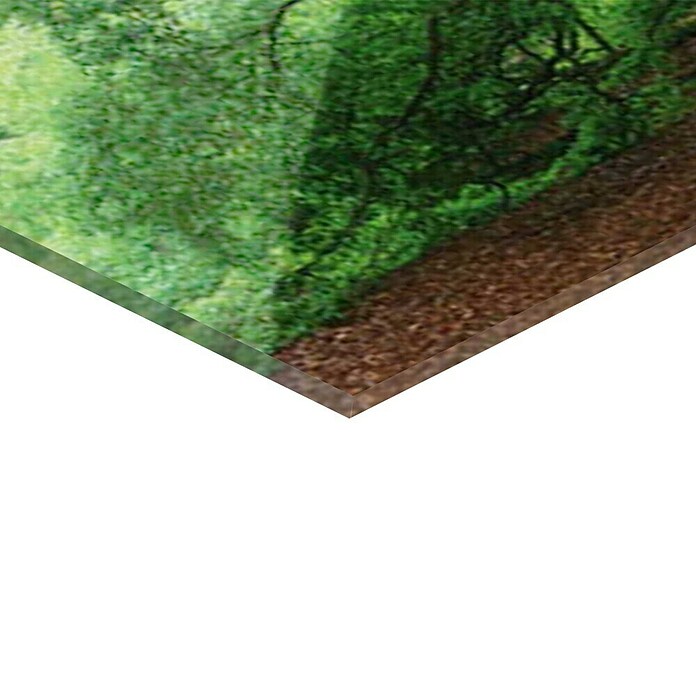 Foto op glas (Old Oak, b x h: 125 x 50 cm) | BAUHAUS