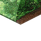 Foto op glas (Old Oak, b x h: 125 x 50 cm) | BAUHAUS