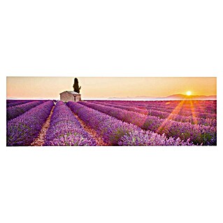 Decoratief paneel (Lavender Horizon, b x h: 156 x 52 cm)