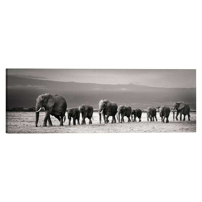 Reinders Holzbild Deco Block (Line of Elephants, B x H: 118 x 40 cm) | BAUHAUS