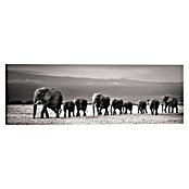 Reinders Holzbild Deco Block (Line of Elephants, B x H: 118 x 40 cm) | BAUHAUS