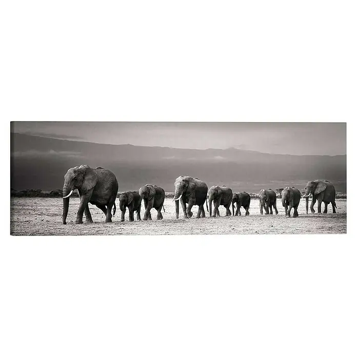 Reinders Holzbild Deco Block - Line of Elephants, B x H: 118 x 40 cm - Eine Herde von Afrikanischen Elefanten wandert in einer Schwarzweiss-Aufnahme durch die afrikanische Savanne.
