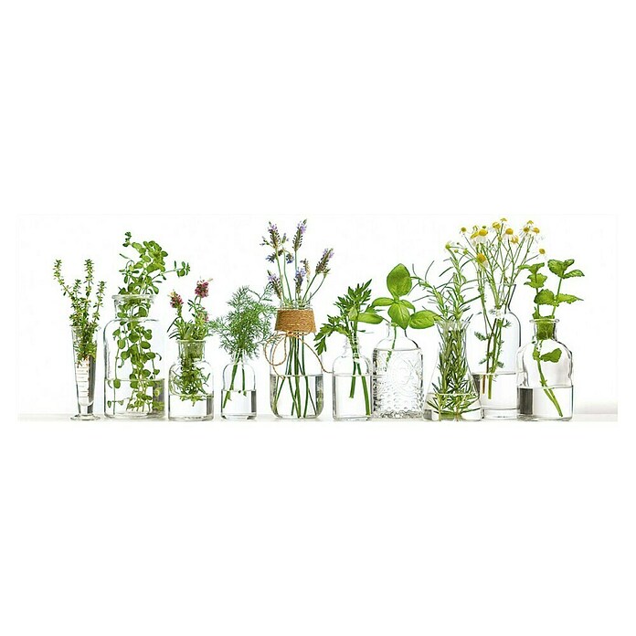 Foto op glas (Vases with Green, b x h: 95 x 33 cm) | BAUHAUS