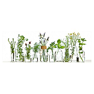 Foto op glas (Vases with Green, b x h: 95 x 33 cm)