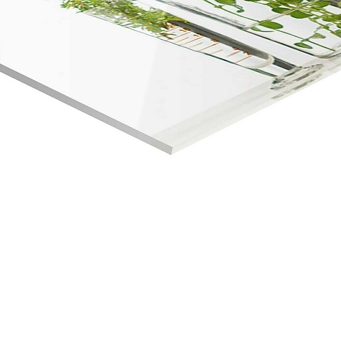 Foto op glas (Vases with Green, b x h: 95 x 33 cm) | BAUHAUS