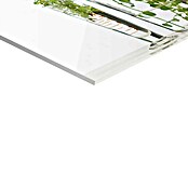 Foto op glas (Vases with Green, b x h: 95 x 33 cm) | BAUHAUS
