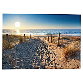 Reinders Decopanel (Dune Path, B x H: 140 x 100 cm)