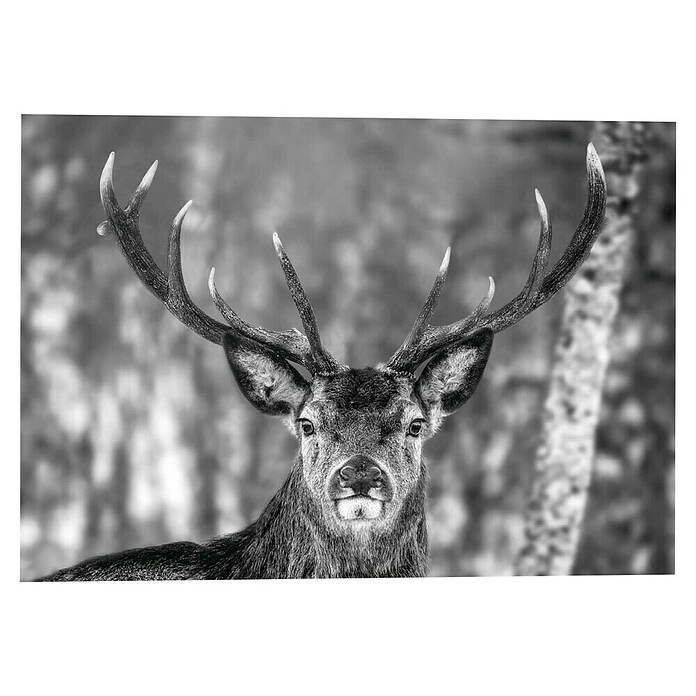 Decoratief paneel (Winter Deer, b x h: 140 x 100 cm) | BAUHAUS