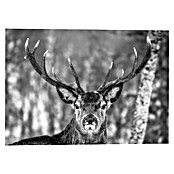 Decoratief paneel (Winter Deer, b x h: 140 x 100 cm) | BAUHAUS