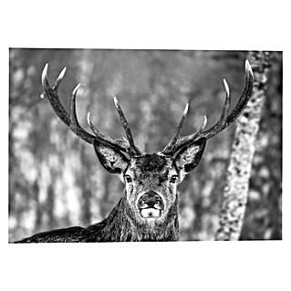 Decoratief paneel (Winter Deer, b x h: 140 x 100 cm)