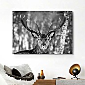 Decoratief paneel (Winter Deer, b x h: 140 x 100 cm) | BAUHAUS