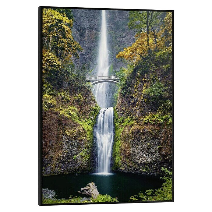 Koop Motivatie Posters & Quotes van