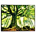 Canvasschilderij 