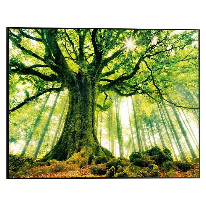Canvasschilderij (Autumn Forest III, b x h: 52 x 40 cm) | BAUHAUS