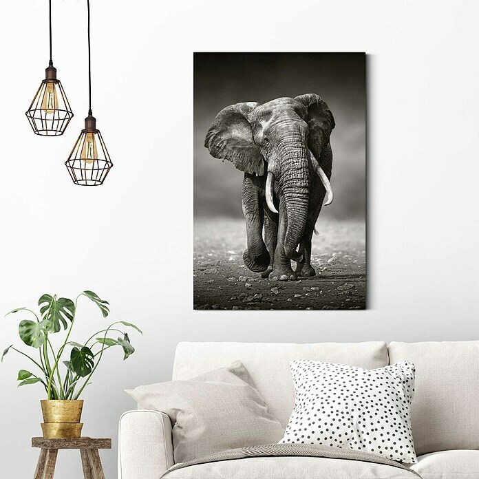 Decopanel (Elephant Walking, B x H: 60 x 90 cm)