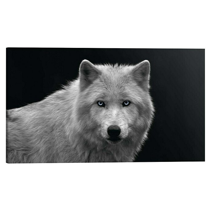 Reinders Holzbild Deco Block (White Wolf - Blue Eyes, B x H: 118 x 70 cm) | BAUHAUS