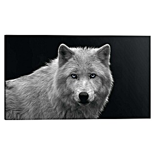 Reinders Holzbild Deco Block (White Wolf - Blue Eyes, B x H: 118 x 70 cm)