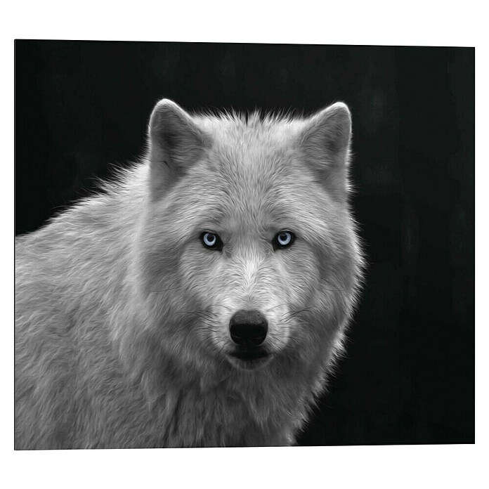 Reinders Decopanel (White Wolf - Blue Eyes, B x H: 50 x 40 cm) | BAUHAUS