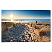 Reinders Decopanel (Dune Path, B x H: 90 x 60 cm) | BAUHAUS