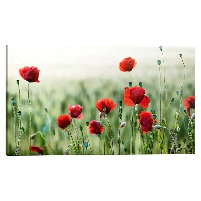 Reinders Holzbild Deco Block - Wild Poppies, B x H: 118 x 70 cm - Rote Mohnblumen blühen in einem Feld und zeigen ihre lebendigen Blütenblätter, ein Symbol für Schönheit und Frieden in der Natur.