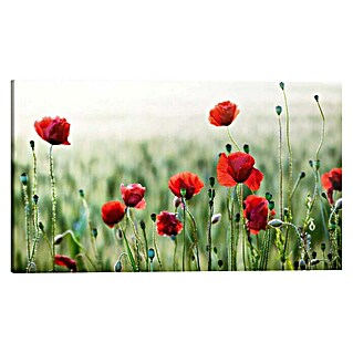Holzbild Deco Block (Wild Poppies, B x H: 118 x 70 cm)
